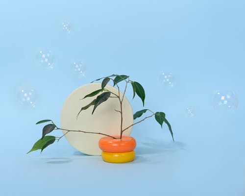 凤梨含糖量高吗