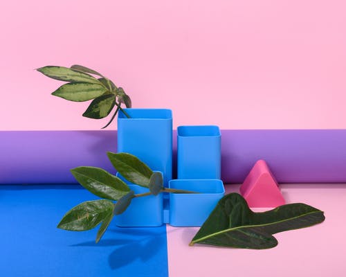 取出鼻子假体9天了