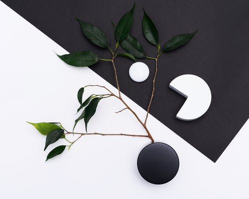 做梦是现实的预兆吗