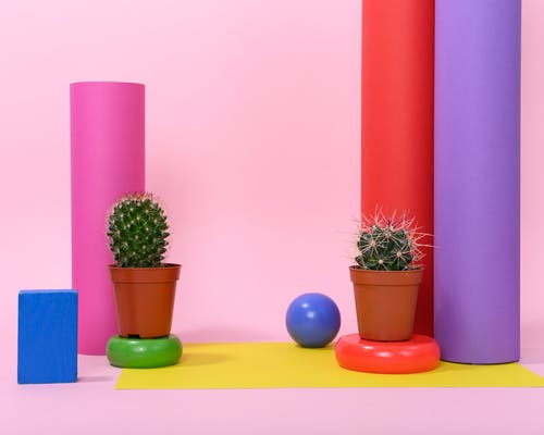 唯阴康用后变成什么样