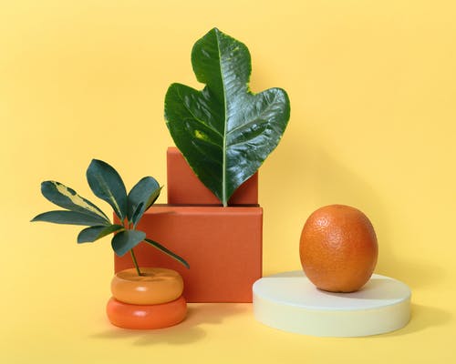 喝青汁一个月瘦了10斤