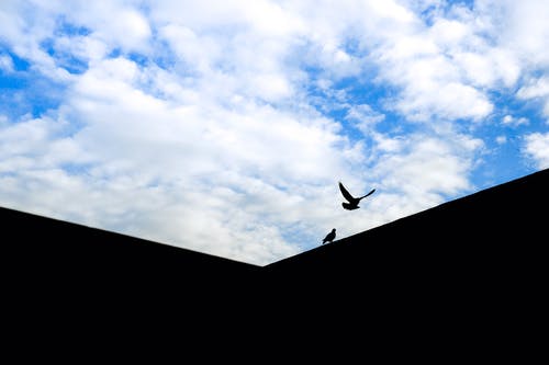 女人吃甜酒鸡蛋的功效
