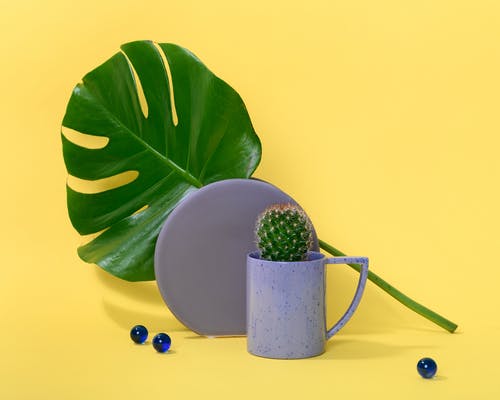 中医耳朵对应的部位