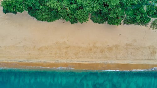 低血糖必备小零食