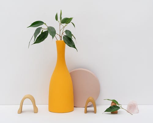 喘定注射剂说明书