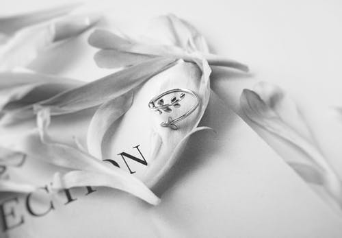 三焦经的作用和功能