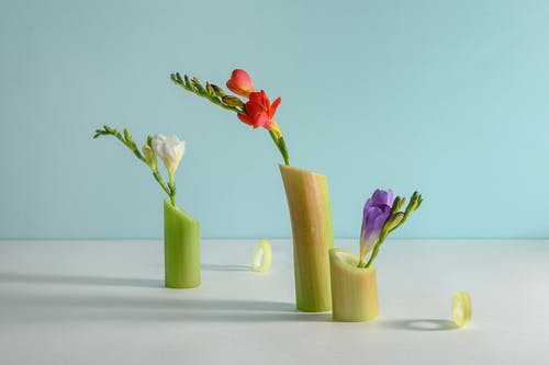 凝胶排出豆腐渣正常吗