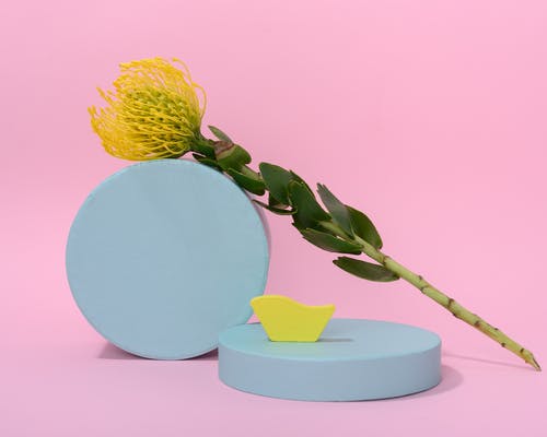 喉咙里面长息肉图片