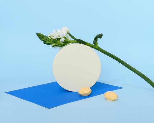 嘴唇疱疹图片大全