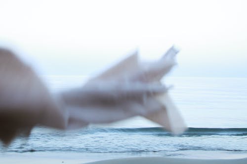 什么血型的人最多