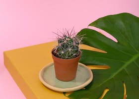 兴米粥的做法是怎样的？