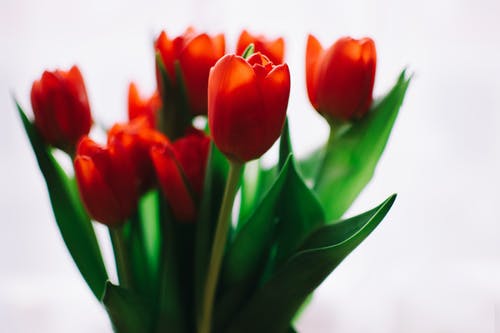 拮抗作用主要有什么运用呢？