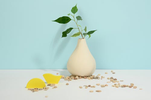 乳头有乳豆是什么原因