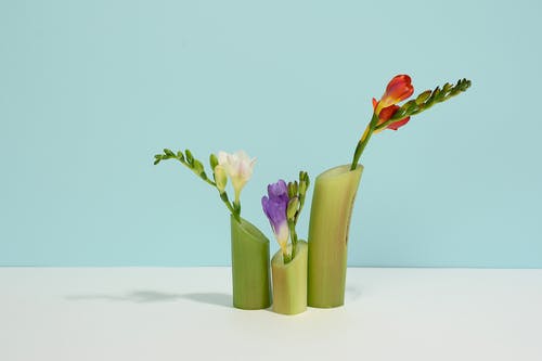 黄褐斑中药面膜配方